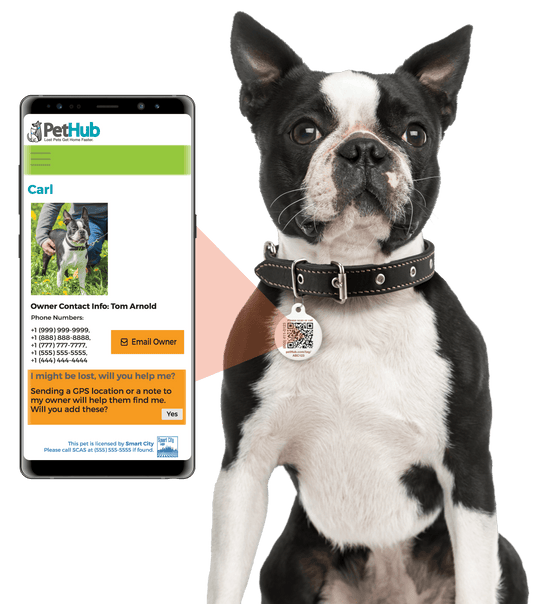 PetHub QR Pet ID Tag – Oh Crap I’m Lost - ApexKin