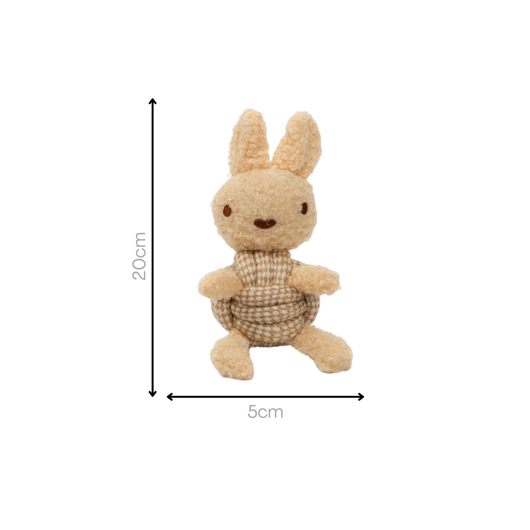 Squeaky Rope Buddies - ApexKin