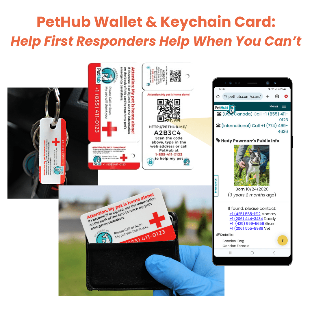 PetHub QR Pet ID Wallet & Keychain Card – Emergency Backup for Your Pet - ApexKin