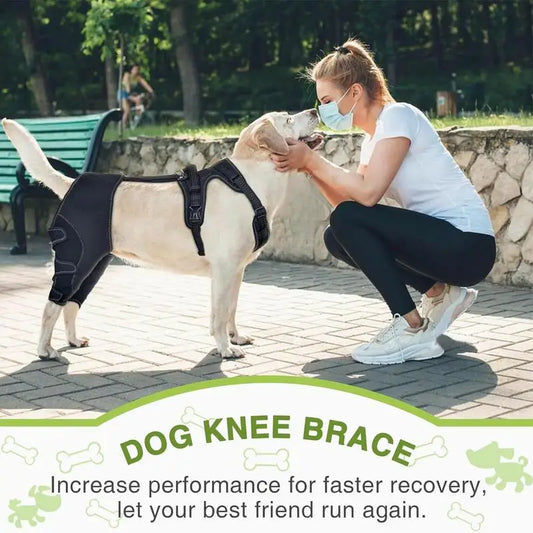 Dog Knee Brace Pet Orthopedic Hip Hock Support Brace Portable Pet Knee Wound Protection For Small Animals Recovery