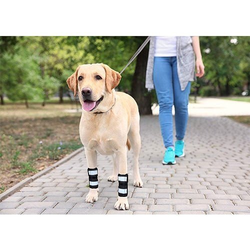 NeoAlly Dog Front Leg Brace with Reflective Straps - Metal Spring Inserts for Carpal Support (Pair) - ApexKin