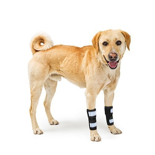 NeoAlly Dog Front Leg Brace with Reflective Straps - Metal Spring Inserts for Carpal Support (Pair) - ApexKin