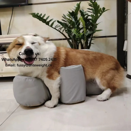 Senior Dog Rising Aid, Anti-Slip Orthopedic Cushion for Joint Care & Post-Surgery Recovery | Assist Standing for Paralyzed Pets