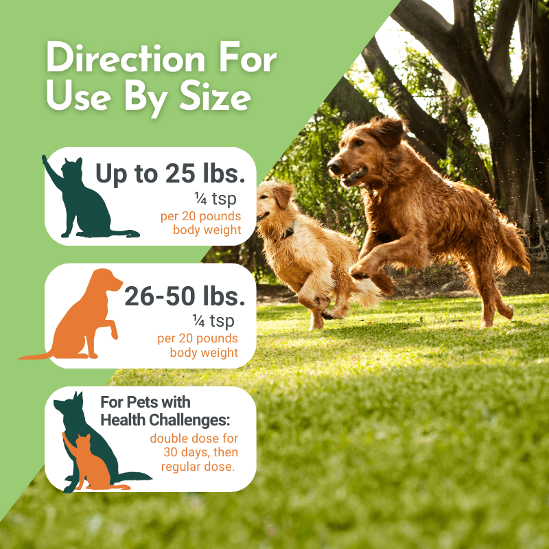 Holistic Total Body Support — Daily Multivitamin & Pasture-Raised Glandular Blend for Dogs & Cats - ApexKin
