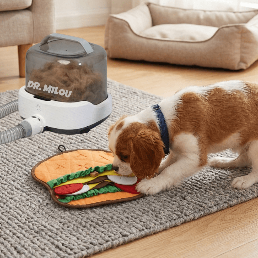 Salon Results at Home, Mess-Free | CalmCare™ Cordless Vacuum Grooming Kit by Dr. Milou - ApexKin