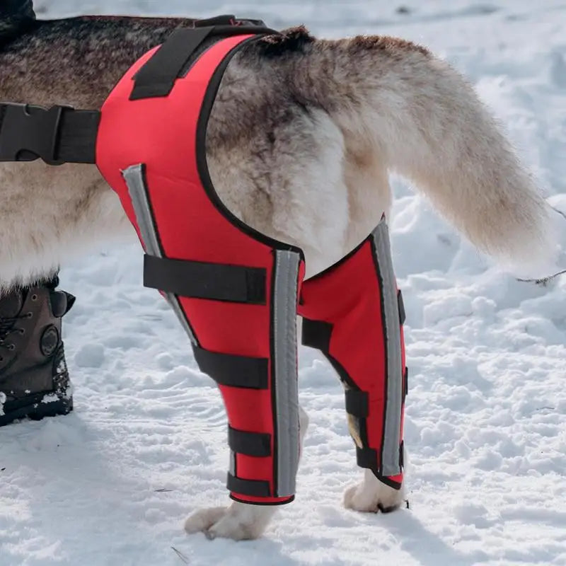Dog Back Leg Braces Pet Orthopedic Joint Support Brace Portable Pet Knee Wound Protection For Small Animals Recovery