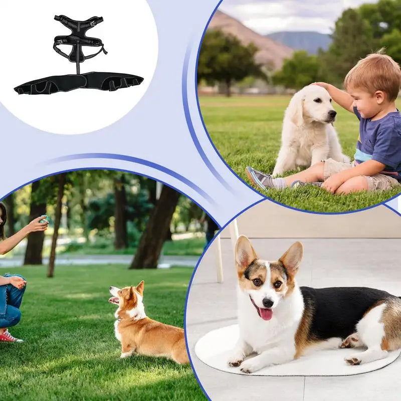 Dog Knee Brace Pet Orthopedic Hip Hock Support Brace Portable Pet Knee Wound Protection For Small Animals Recovery