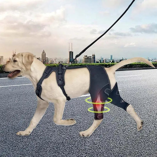 Dog Knee Brace Pet Orthopedic Hip Hock Support Brace Portable Pet Knee Wound Protection For Small Animals Recovery