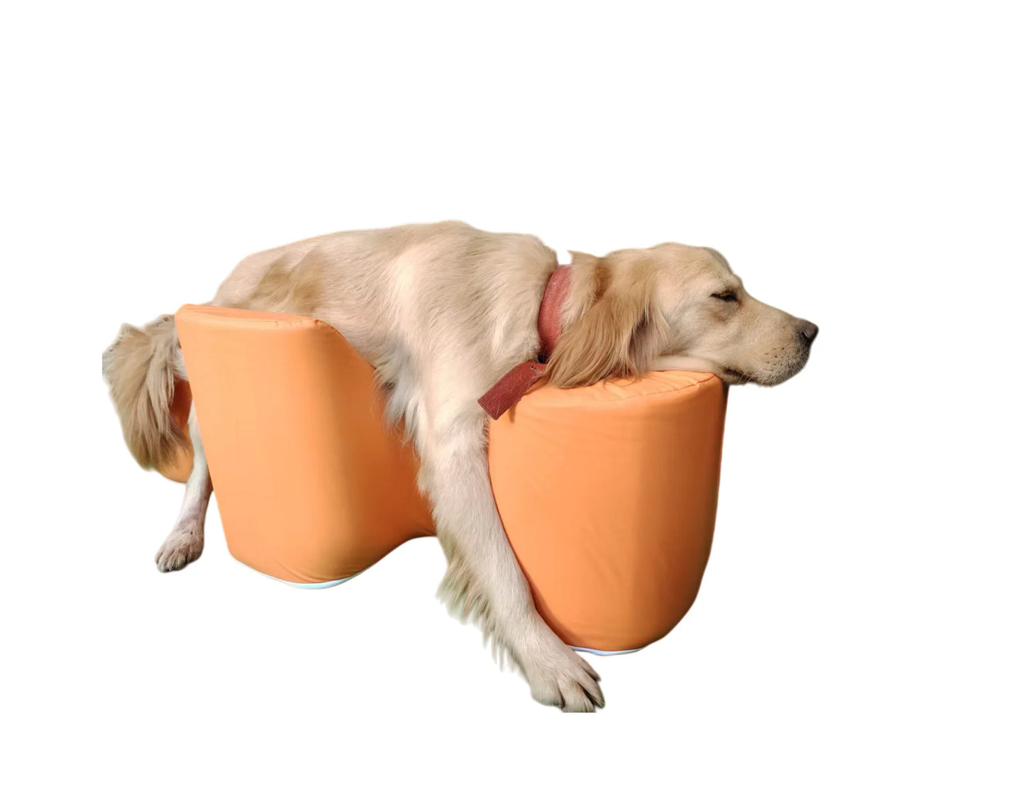 Senior Dog Rising Aid, Anti-Slip Orthopedic Cushion for Joint Care & Post-Surgery Recovery | Assist Standing for Paralyzed Pets