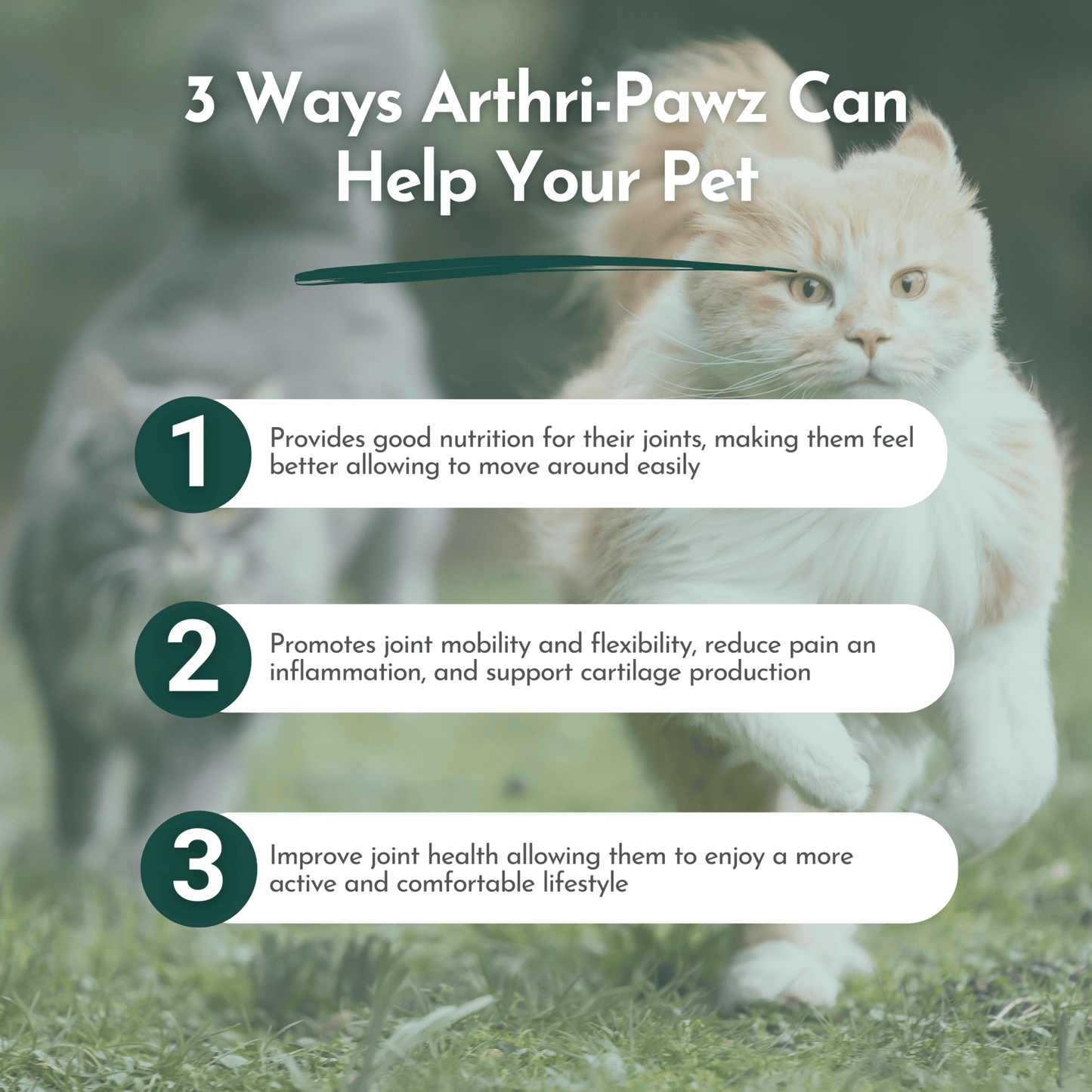 Arthri-Pawz – with Glucosamine for Cats and Dogs - ApexKin