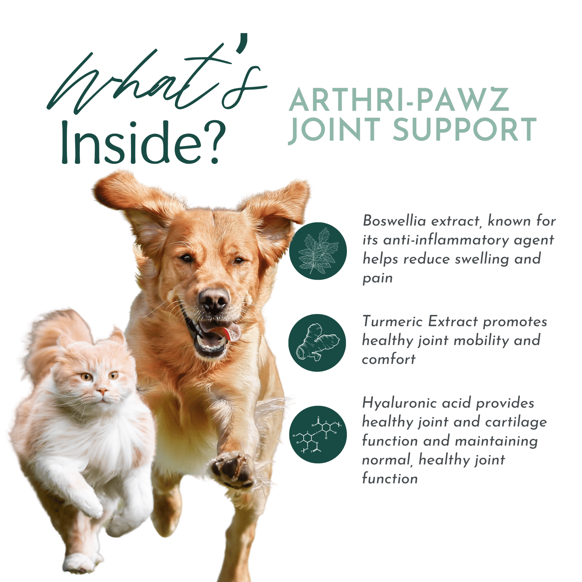 Arthri-Pawz – with Glucosamine for Cats and Dogs - ApexKin