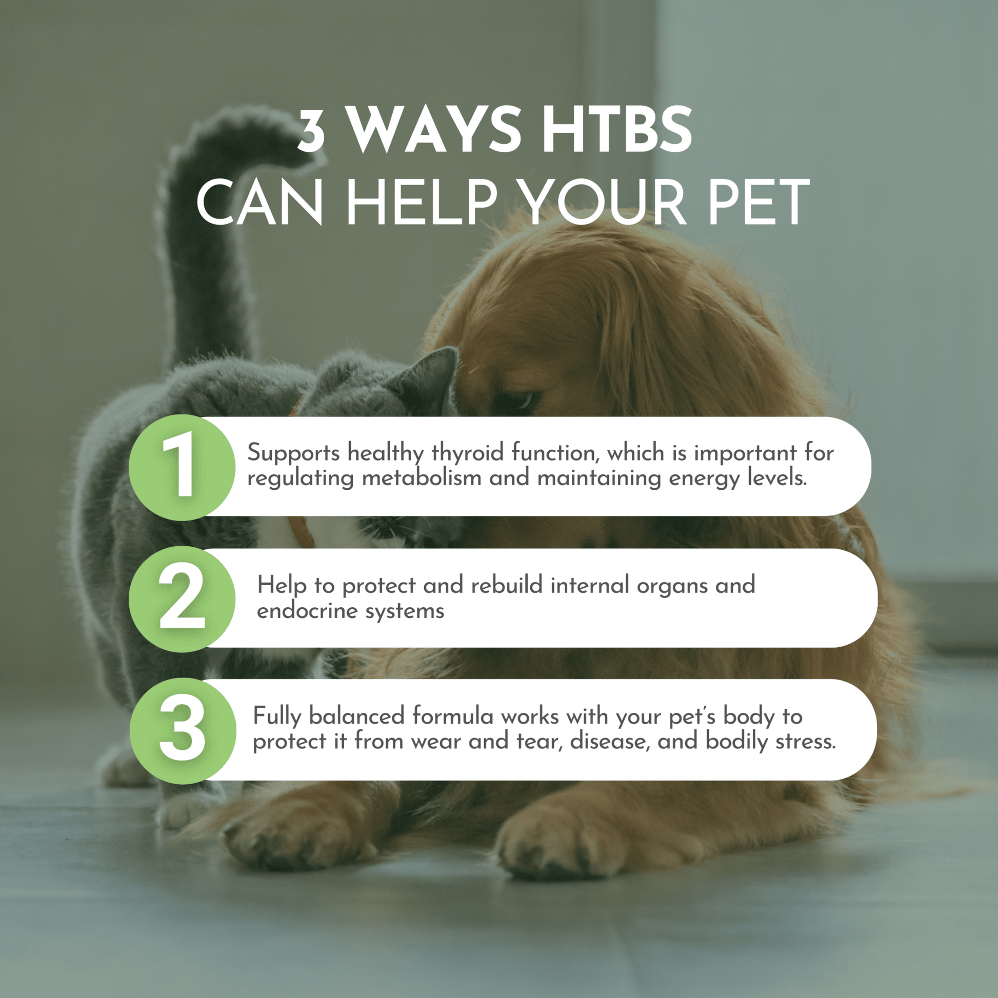 Holistic Total Body Support — Daily Multivitamin & Pasture-Raised Glandular Blend for Dogs & Cats - ApexKin