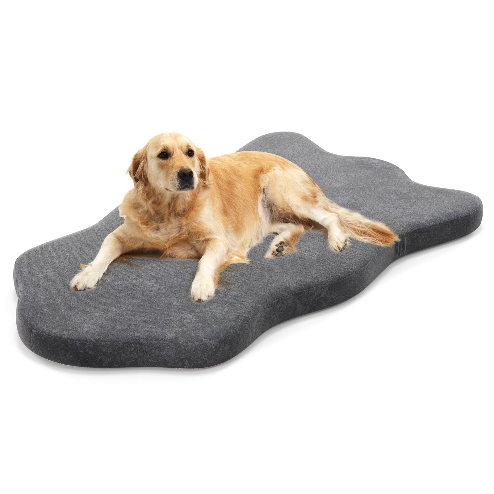 Orthopedic Dog Bed with Memory Foam Support for Large Dogs-Gray - ApexKin