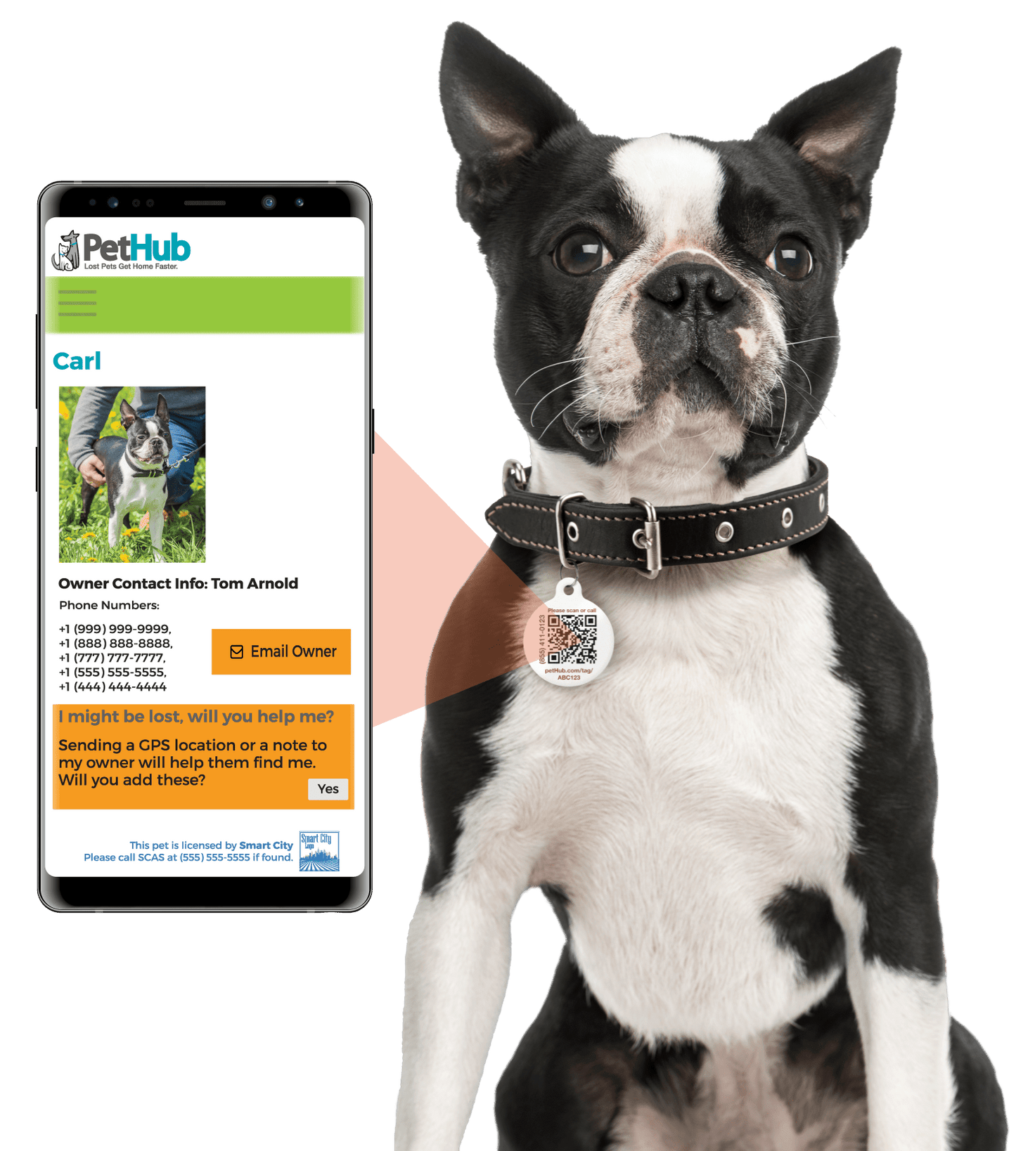 PetHub QR ID Pet Tag - Escape Artist - ApexKin