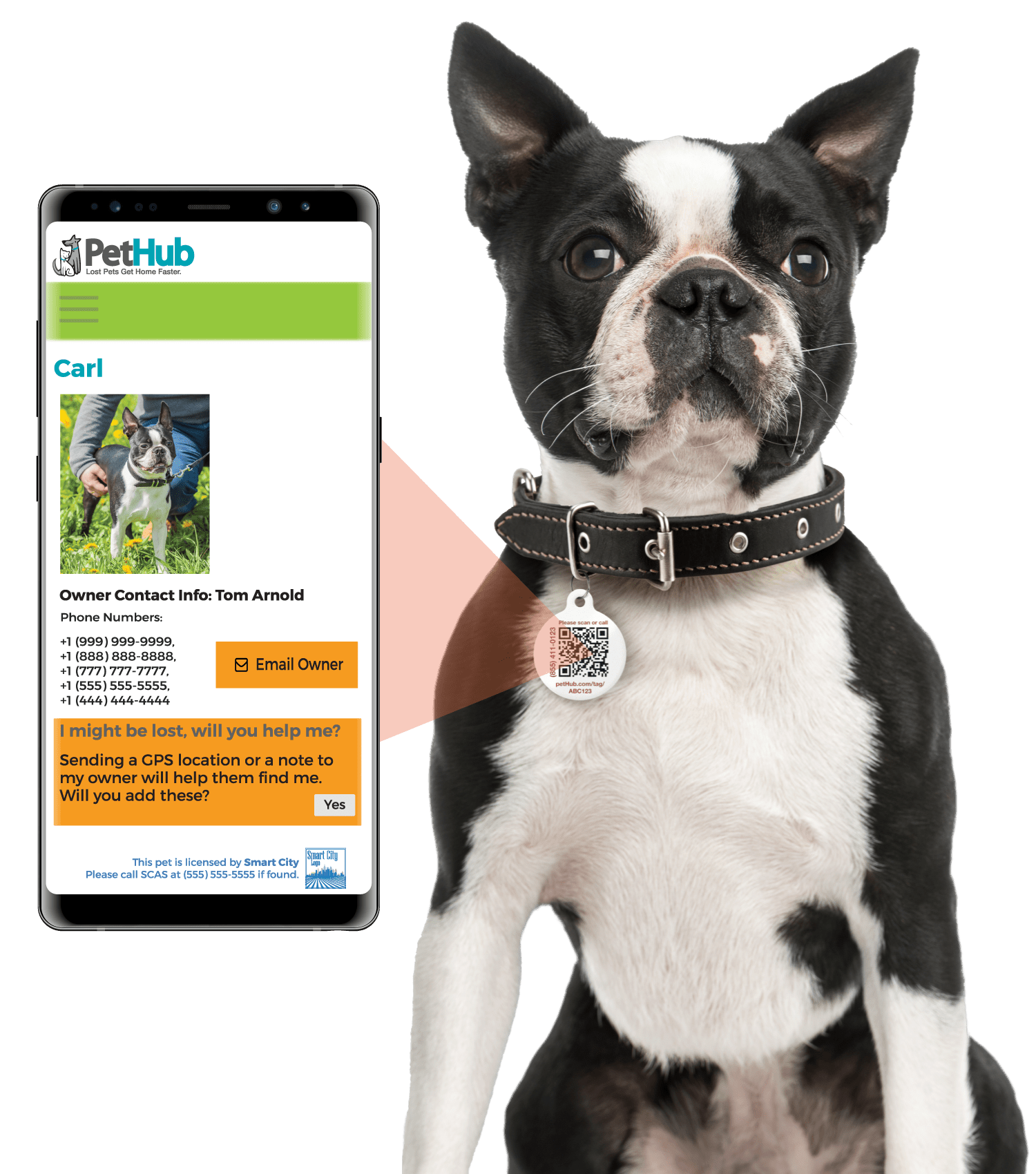 QR ID Pet Tag - Lost AF - ApexKin