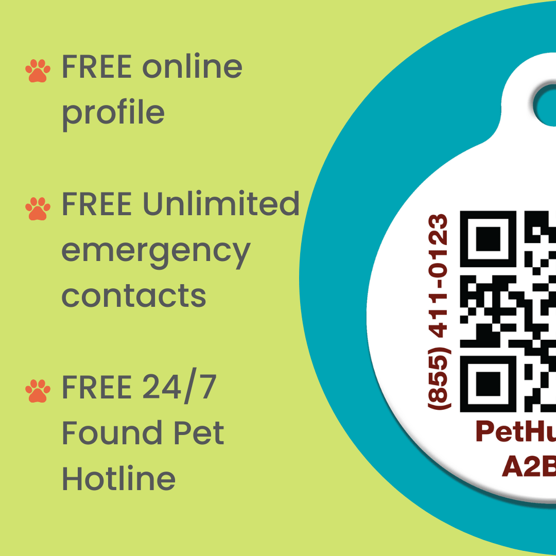 PetHub QR Pet ID Wallet & Keychain Card – Emergency Backup for Your Pet - ApexKin