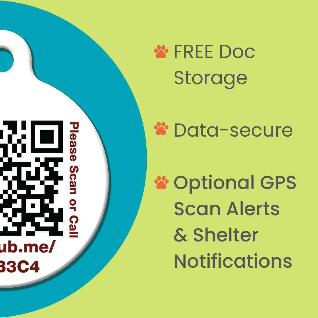 PetHub QR Pet ID Wallet & Keychain Card – Emergency Backup for Your Pet - ApexKin