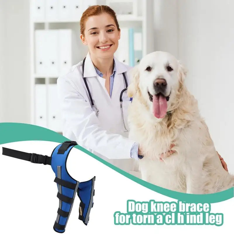 Dog Back Leg Braces Pet Orthopedic Joint Support Brace Portable Pet Knee Wound Protection For Small Animals Recovery
