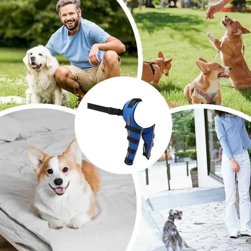 Dog Back Leg Braces Pet Orthopedic Joint Support Brace Portable Pet Knee Wound Protection For Small Animals Recovery