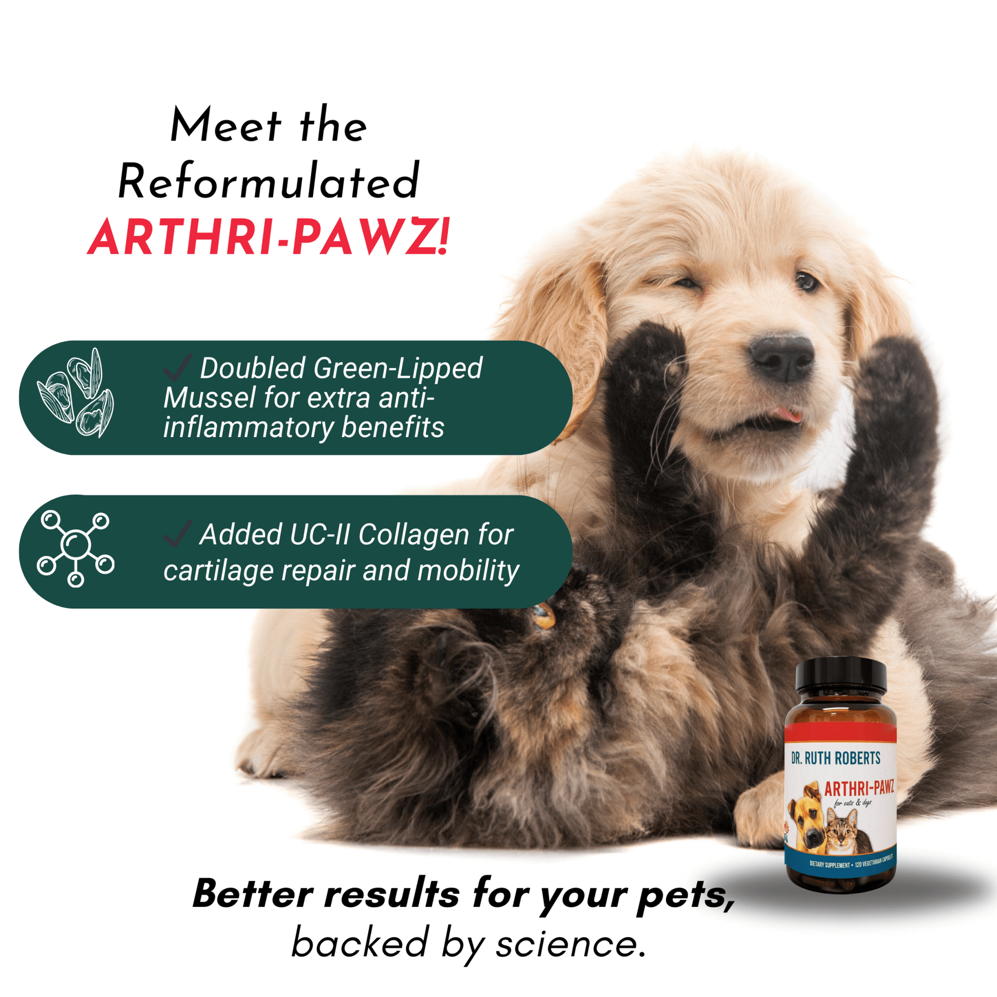 Arthri-Pawz – with Glucosamine for Cats and Dogs - ApexKin
