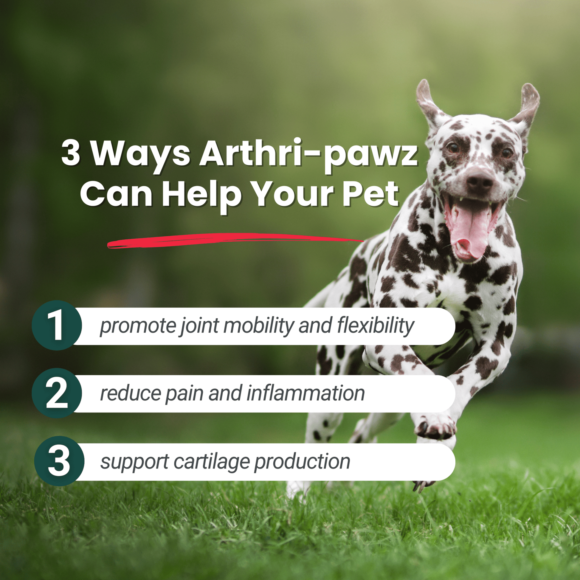 Arthri-Pawz – with Glucosamine for Cats and Dogs - ApexKin