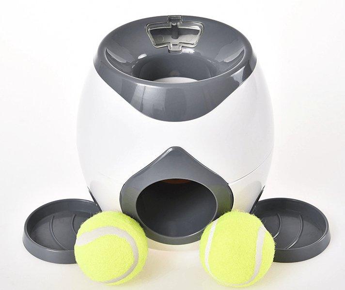 Automatic Pet Training And Feeding System - ApexKin