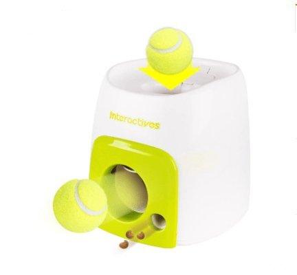 Automatic Pet Training And Feeding System - ApexKin