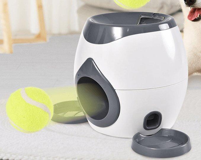 Automatic Pet Training And Feeding System - ApexKin