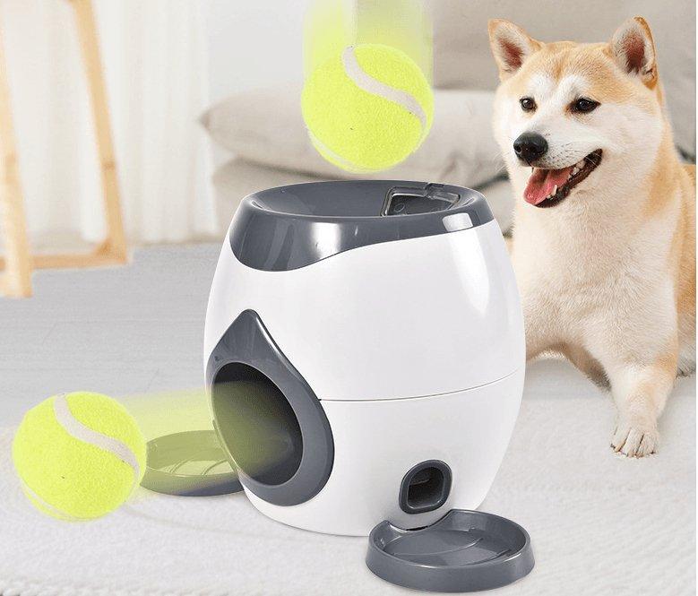 Automatic Pet Training And Feeding System - ApexKin