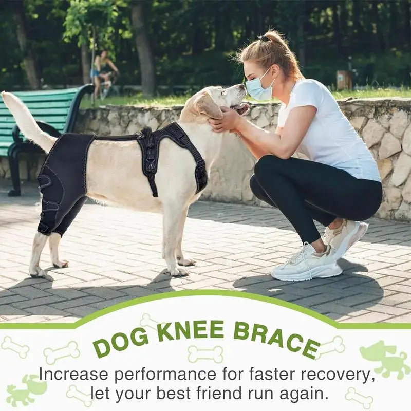 Dog Knee Brace Pet Orthopedic Hip Hock Support Brace Portable Pet Knee Wound Protection For Small Animals Recovery