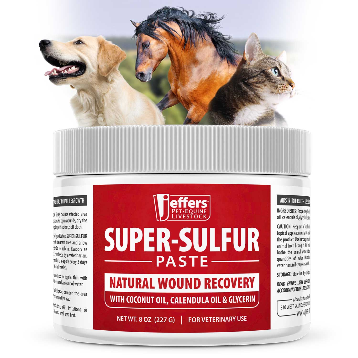 Jeffers Super-Sulfur Skin & Wound Healing Paste for Pets, Horses, & Livestock - ApexKin