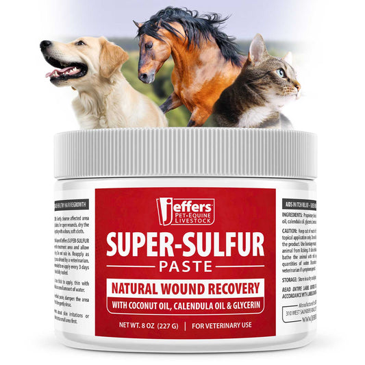 Jeffers Super-Sulfur Skin & Wound Healing Paste for Pets, Horses, & Livestock - ApexKin