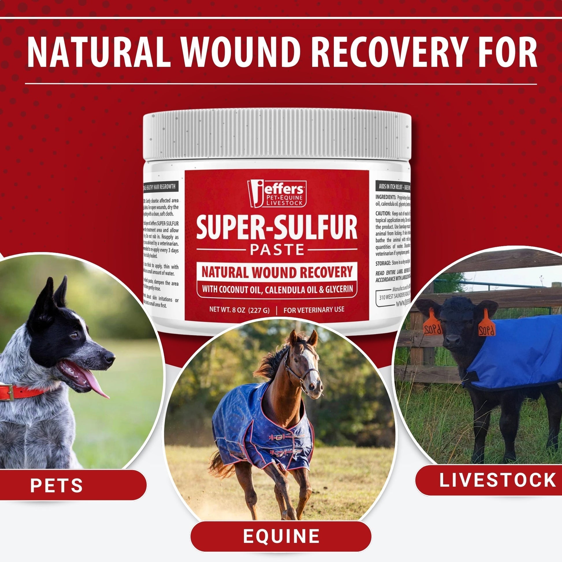 Jeffers Super-Sulfur Skin & Wound Healing Paste for Pets, Horses, & Livestock - ApexKin