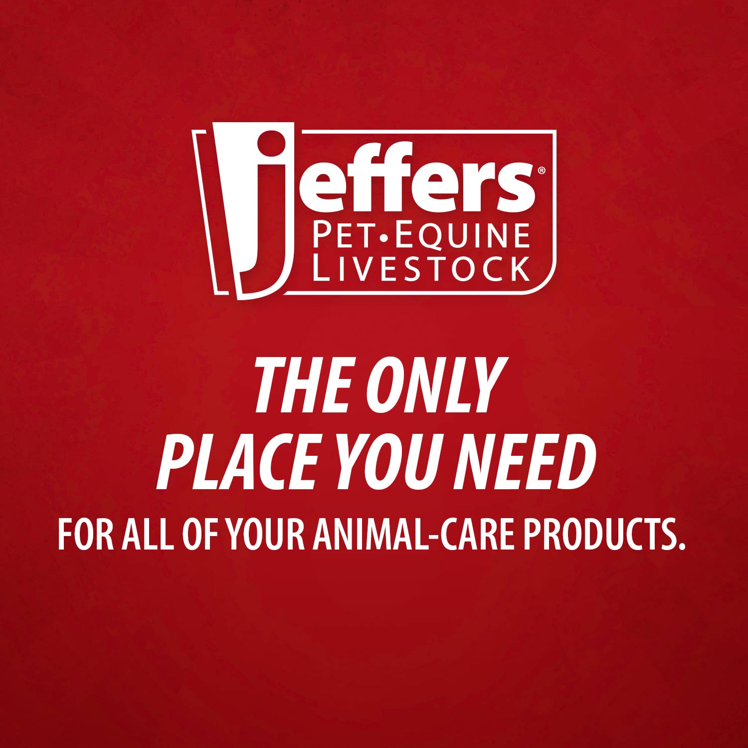 Jeffers Super-Sulfur Skin & Wound Healing Paste for Pets, Horses, & Livestock - ApexKin