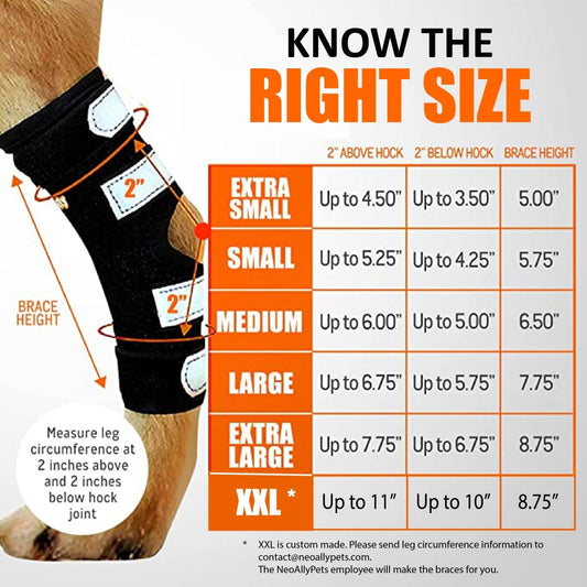 NeoAlly 3-in-1 Long Rear Leg Hock Brace - Rigid and Spring Inserts | Safety Reflective Straps [Long Version] (Pair)